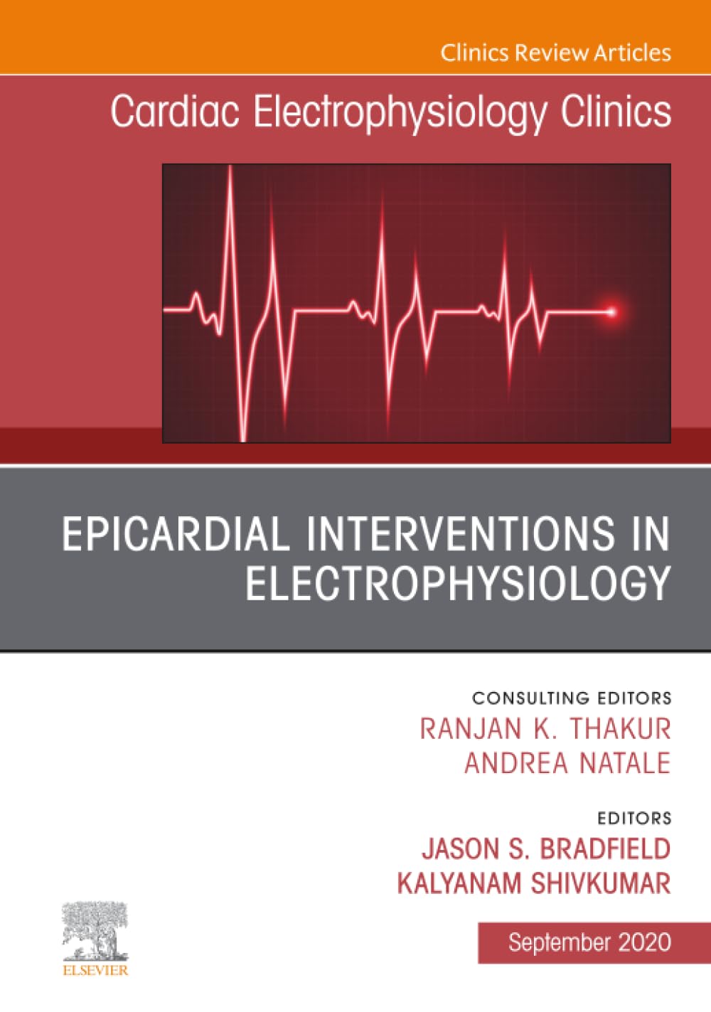 Epicardial Interventions in Electrophysiology, An Issue of Cardiac Electrophysiology Clinics (The Clinics: Internal Medicine, Volume 12-3)