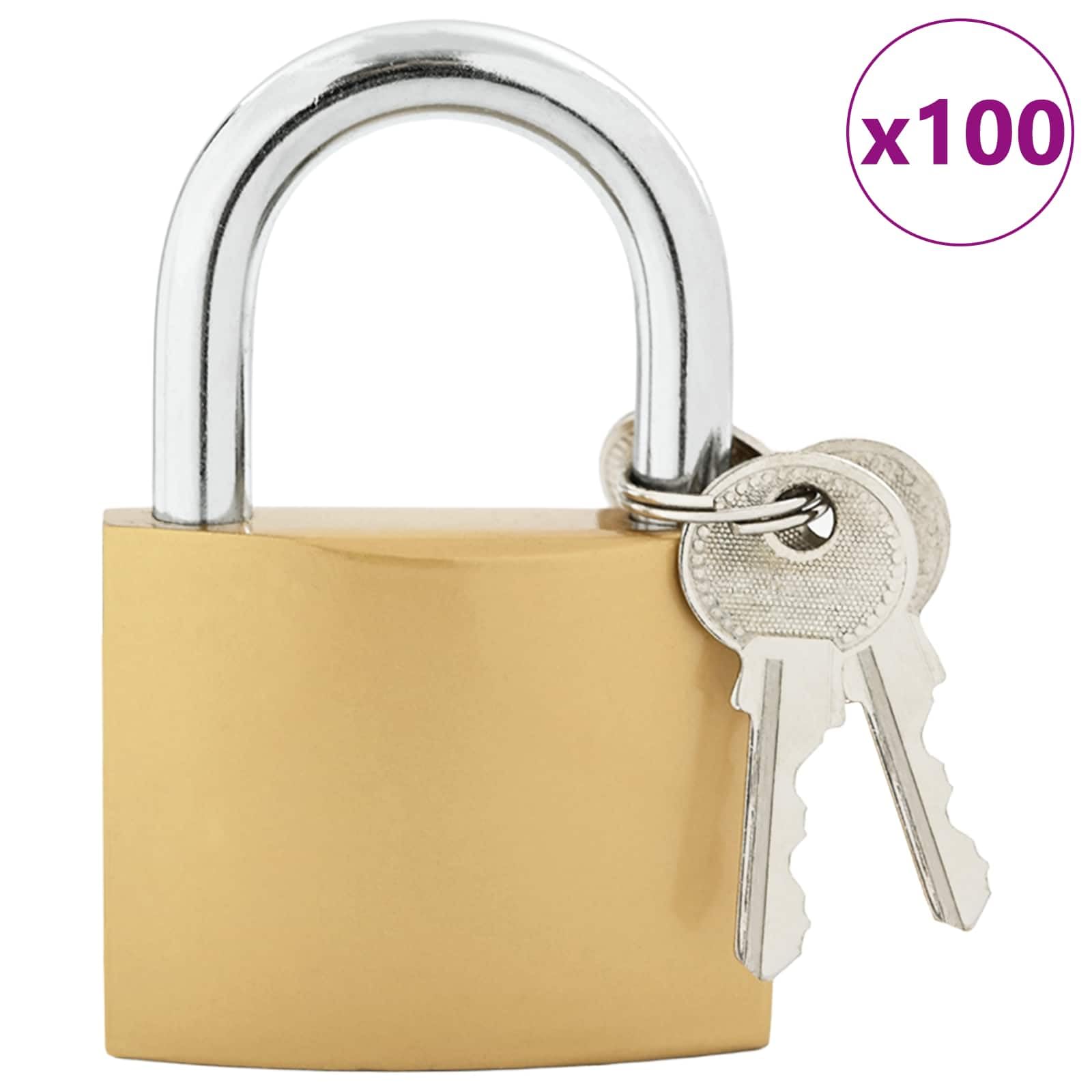 Candado En U Laton 6 x 2 x 9,1 cm Hierro | Resistente a la intemperie, Antioxido, Para casilleros y almacenamiento, Incluye llaves