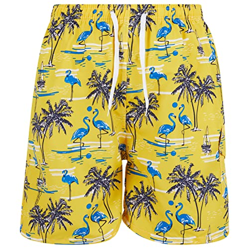 Men's Swim Trunks,Swimming Shorts with Mesh Lining, Beach Shorts Bathing Suit with Cargo Pocket Fun Vacation Prints