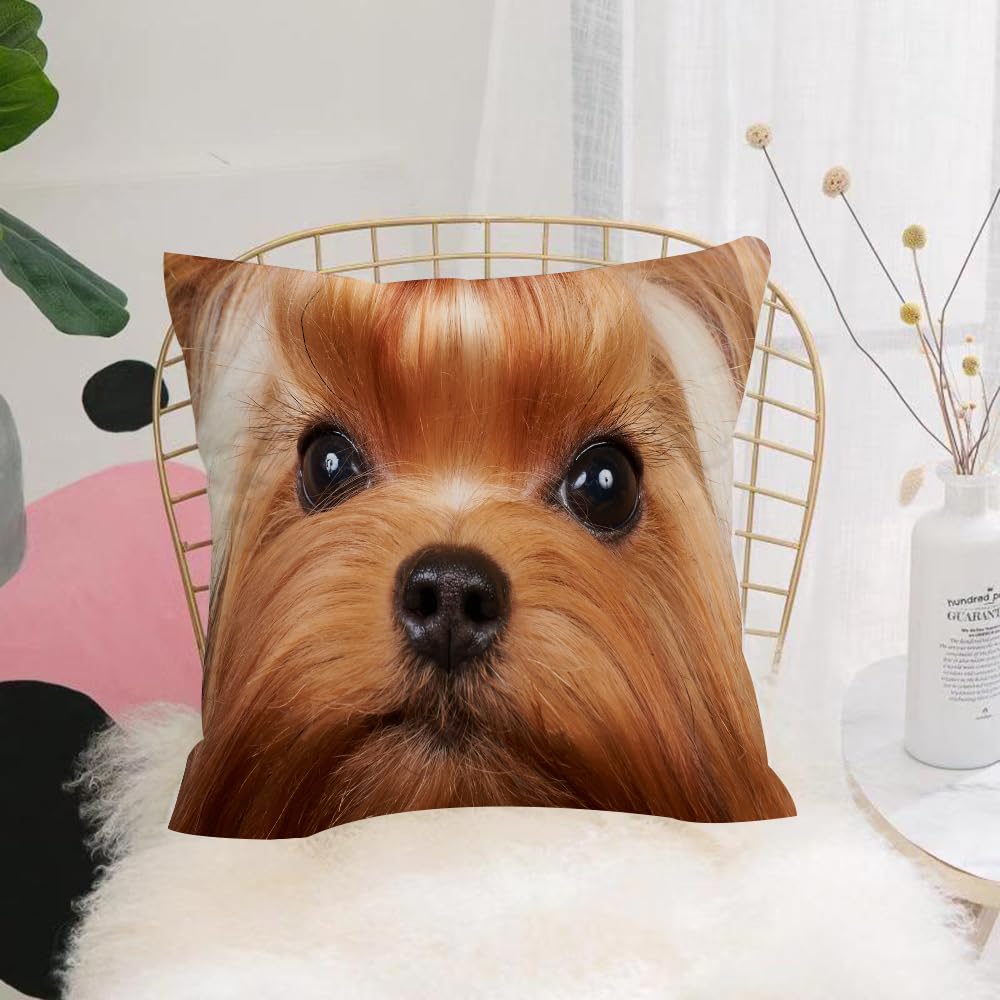 HYMSXW Cushion Cover,Throw Pillow Case Home Decorative for Living Room Bedroom Sofa Chair 20X20 Inch,Grooming Brown Dog Yorkshire Terrier Long Precious Eyelashes Wildlife Show York,Pillowcase 50X50cm