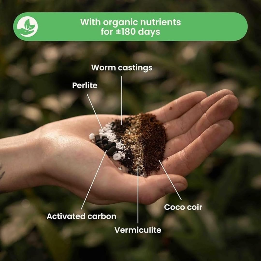 Sybotanica - Substrato para Calathea y Maranta 20 L - Coco Premium para Calathea, Maranta, Begonia, Musa, Strelitzia - Sin Turba - Abono Orgánico 180 Días - Ideal para Interior