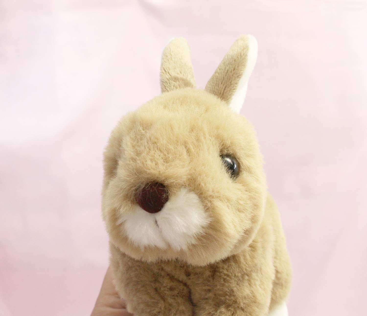Amazon.co.jp: テイクオフ うさぎのマロン レッキス ブラウンr : おもちゃ
