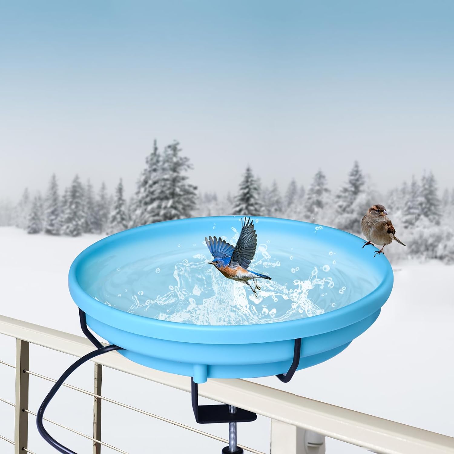 Are Heated Bird Baths Safe for Birds in Winter: Essential Facts