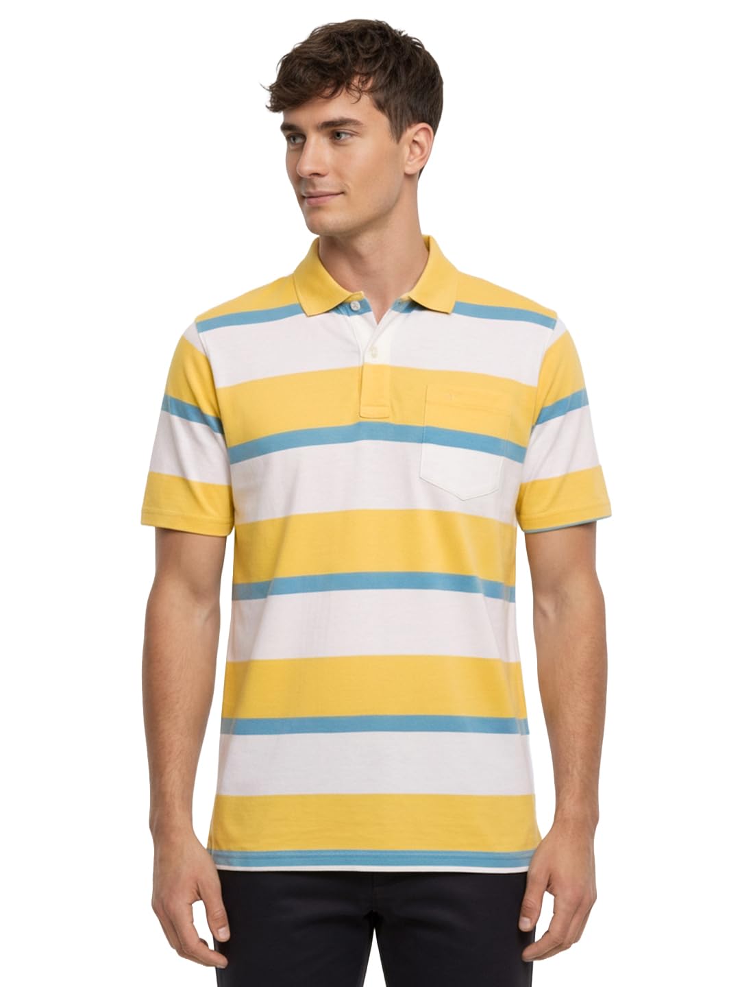 colorplus Men Comfort Fit Stripe Pattern Pure Cotton Half Sleeve Polo Neck Casual T-Shirt-picture-40