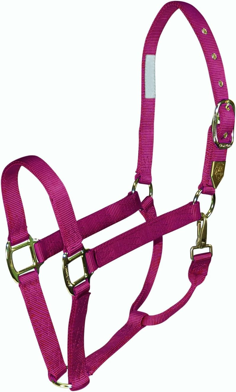 Hamilton 1 Horse Halter with Snap, Small Size (500-800 lbs), Berry