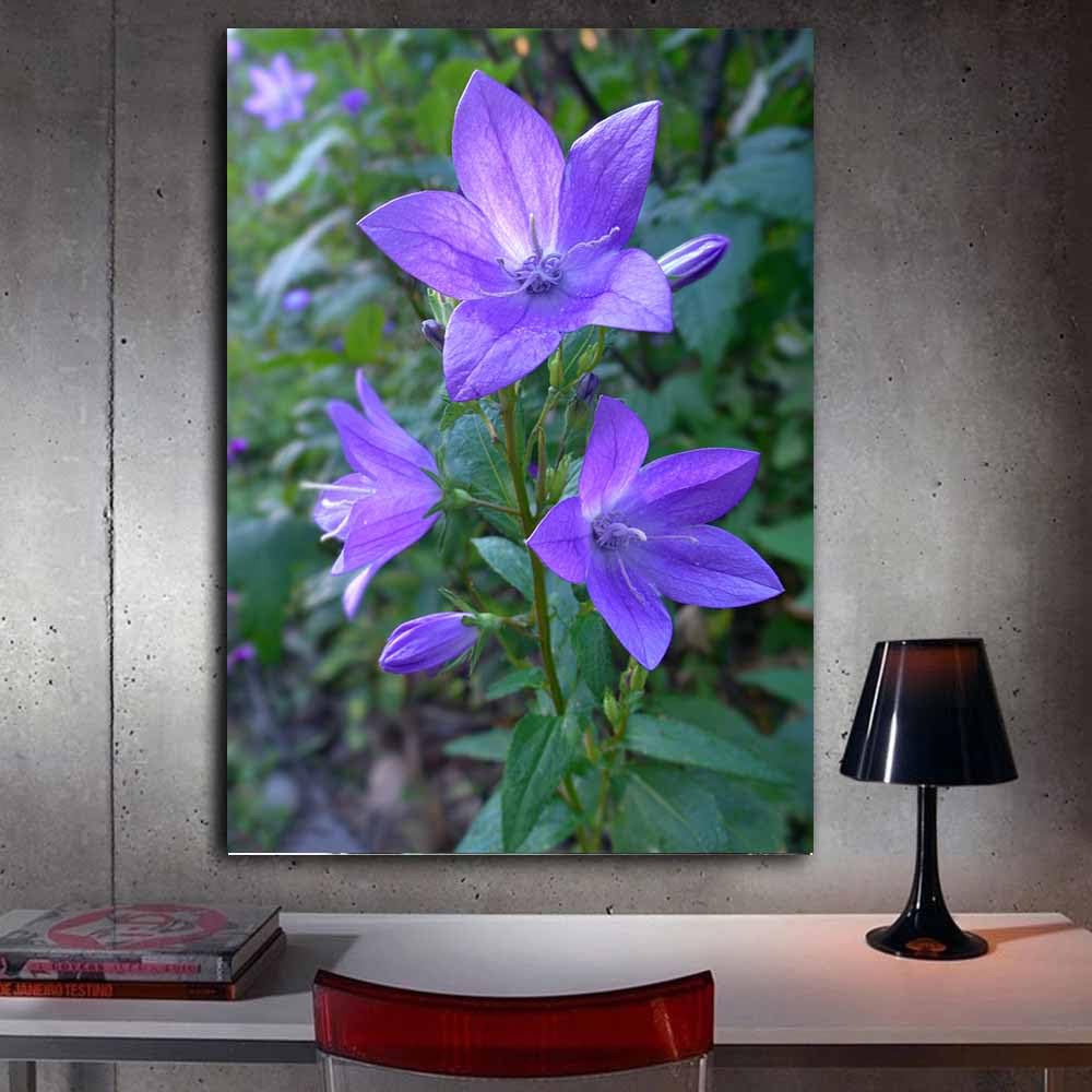 CUDAOO Semplice arte botanica Stampe su Canvas Fiori viola a campana per Camera da Letto Agriturismo Soggiorno Bagno(viola)-60x90cm Incorniciato