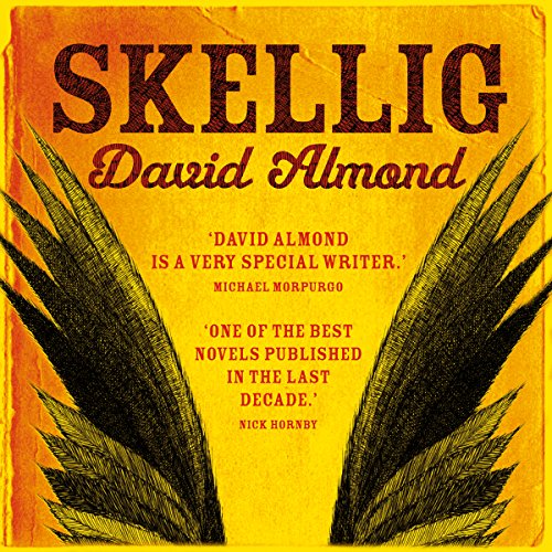 Cover art for Skellig