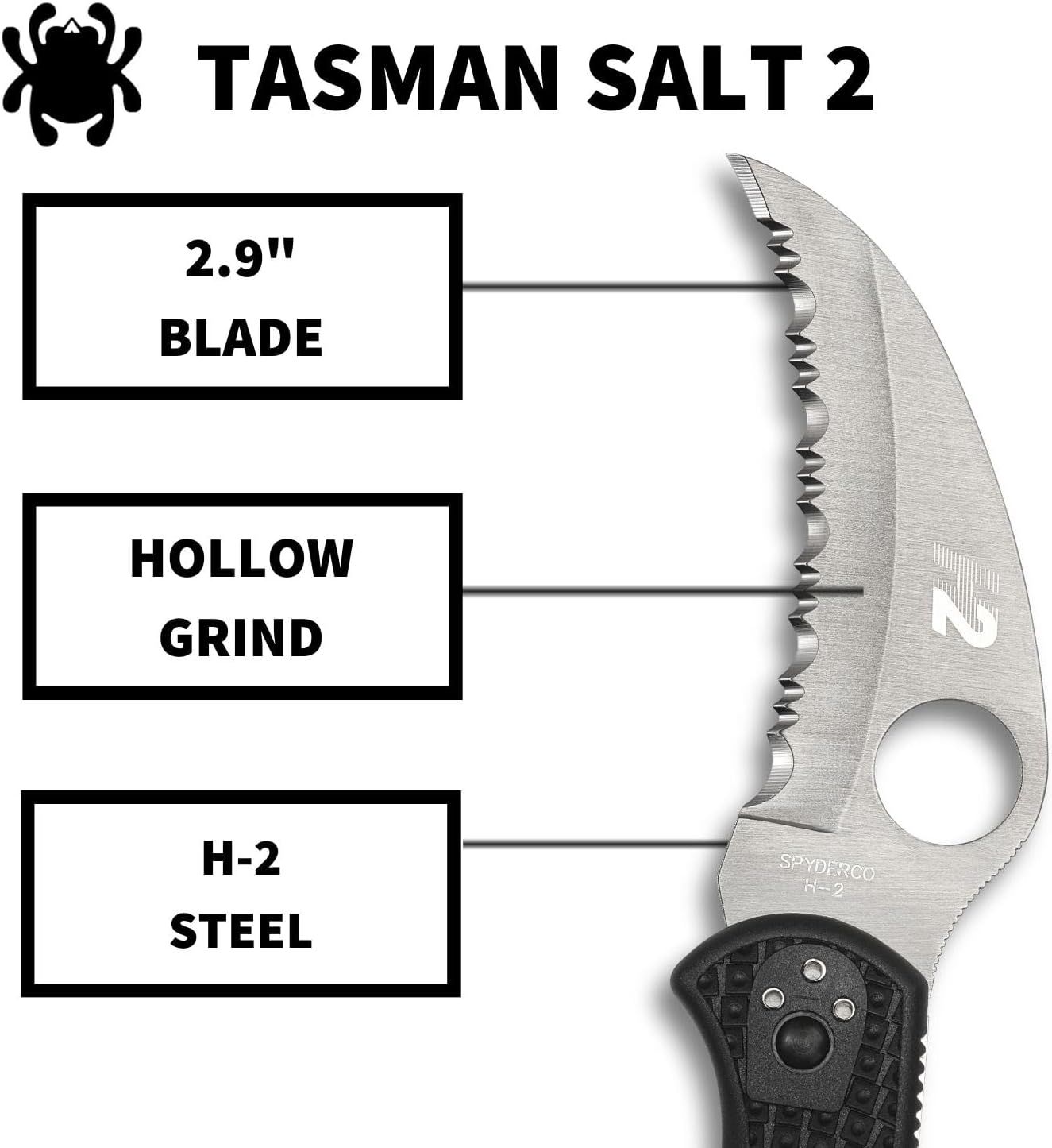 Spyderco Tasman Salt 2 Lightweight Knife with 2.91" H-1 Ultra-Corrosion-Resistant Steel Blade and Black FRN Handle - SpyderEdge - C106SBK2
