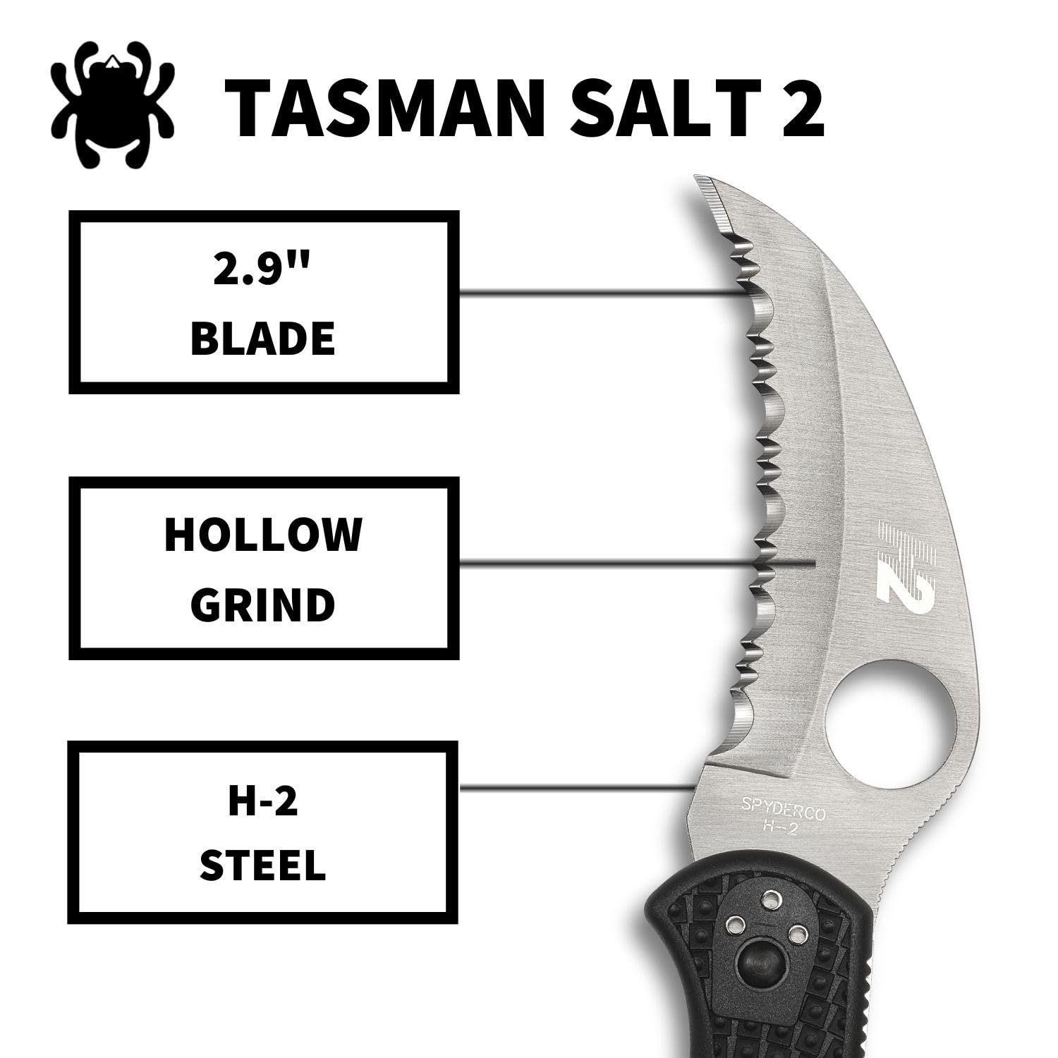 Amazon | スパイダルコ(Spyderco) タスマンソルト2 H-1 ブラック 波刃 