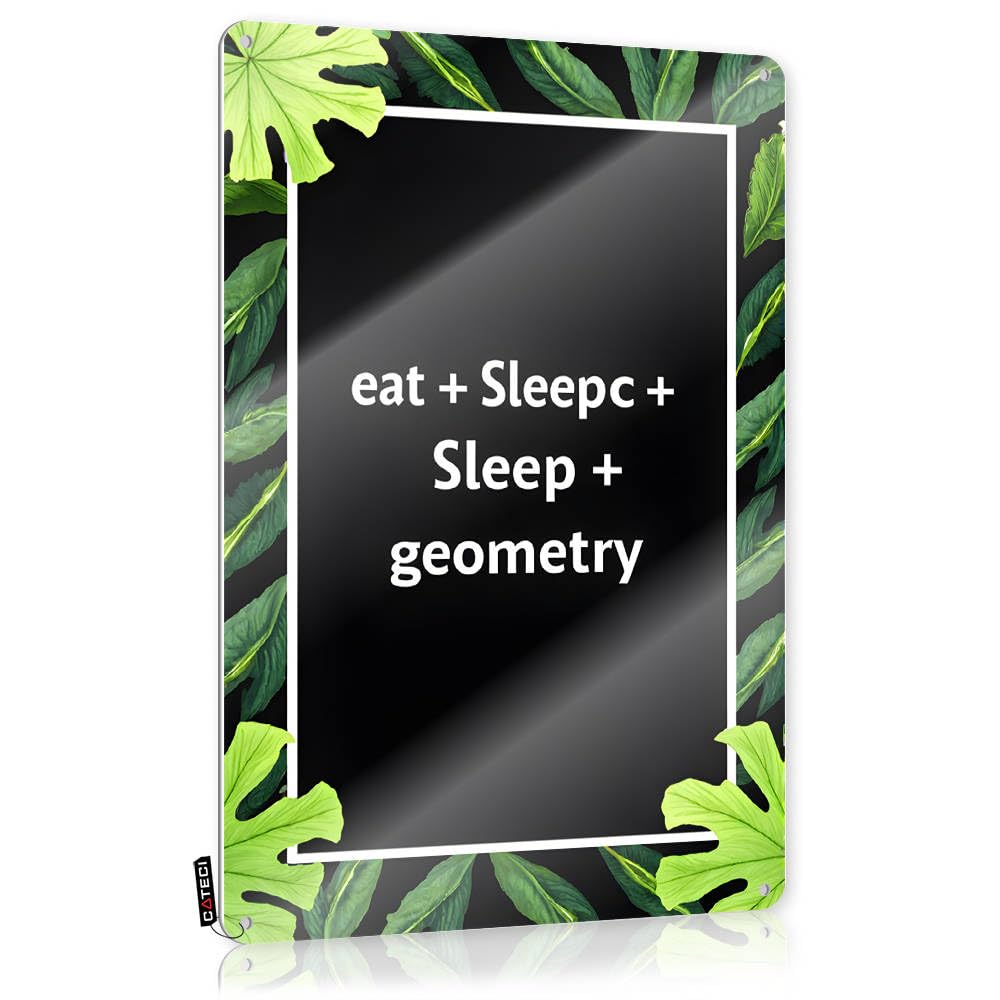 Fzfn Colour Signs Necessities Wall Decor | Eat, Sleep, Repeat: The Perfect Day With Geometry Indie For Office Home(30X40cm)