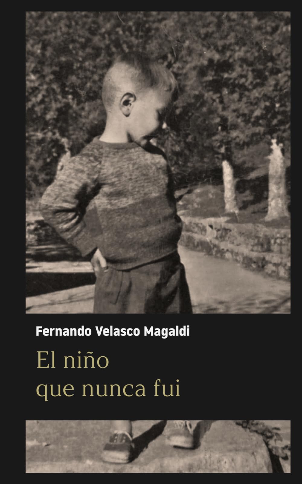 El niño que nunca fui