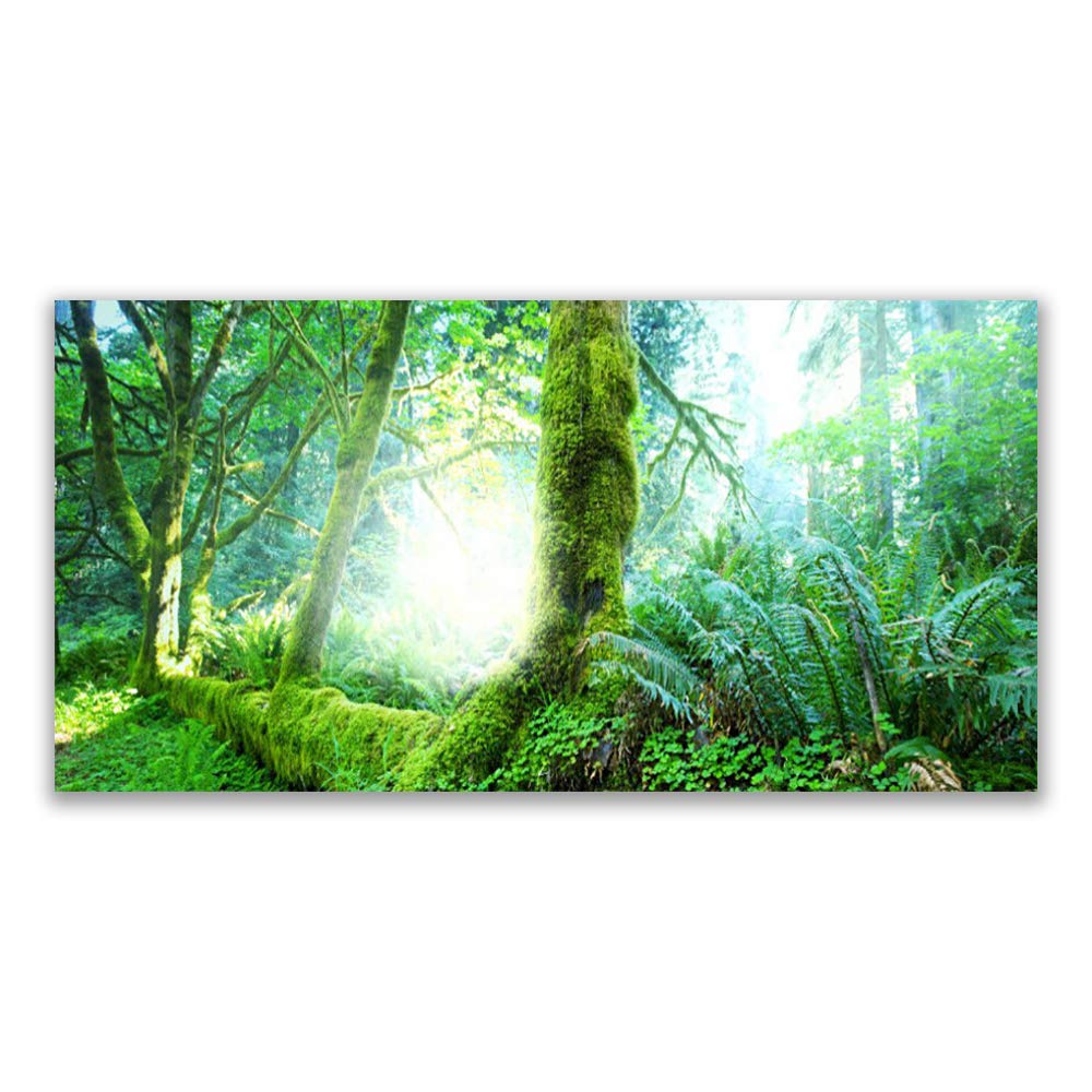 Tableau en verre trempé 120x60 cm Tulup nature forêt pour décoration murale