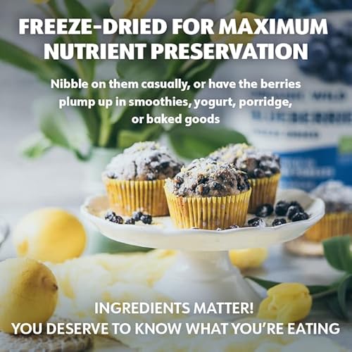 Loov Wild Organic Dried Blueberries, No Added Sugar, No Added Oil, 4 Ounces, Freeze Dried Blueberries Organic From Nordic Forests, 100% Whole Fruit Wild Blueberries, Non-Gmo, Unsweetened Dried Fruit #TOP5