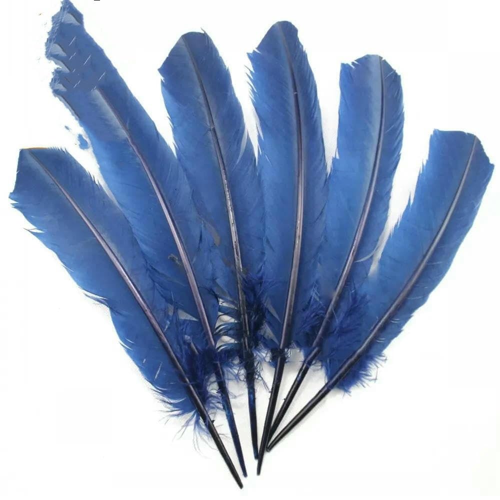 Plumes de faisan de carnaval pour carnaval, piquants de dinde, carnaval, coiffe, carnaval, aile, 28-33 cm, 11-13 pouces, 10-100 pièces - Vert fruit - 10 pièces