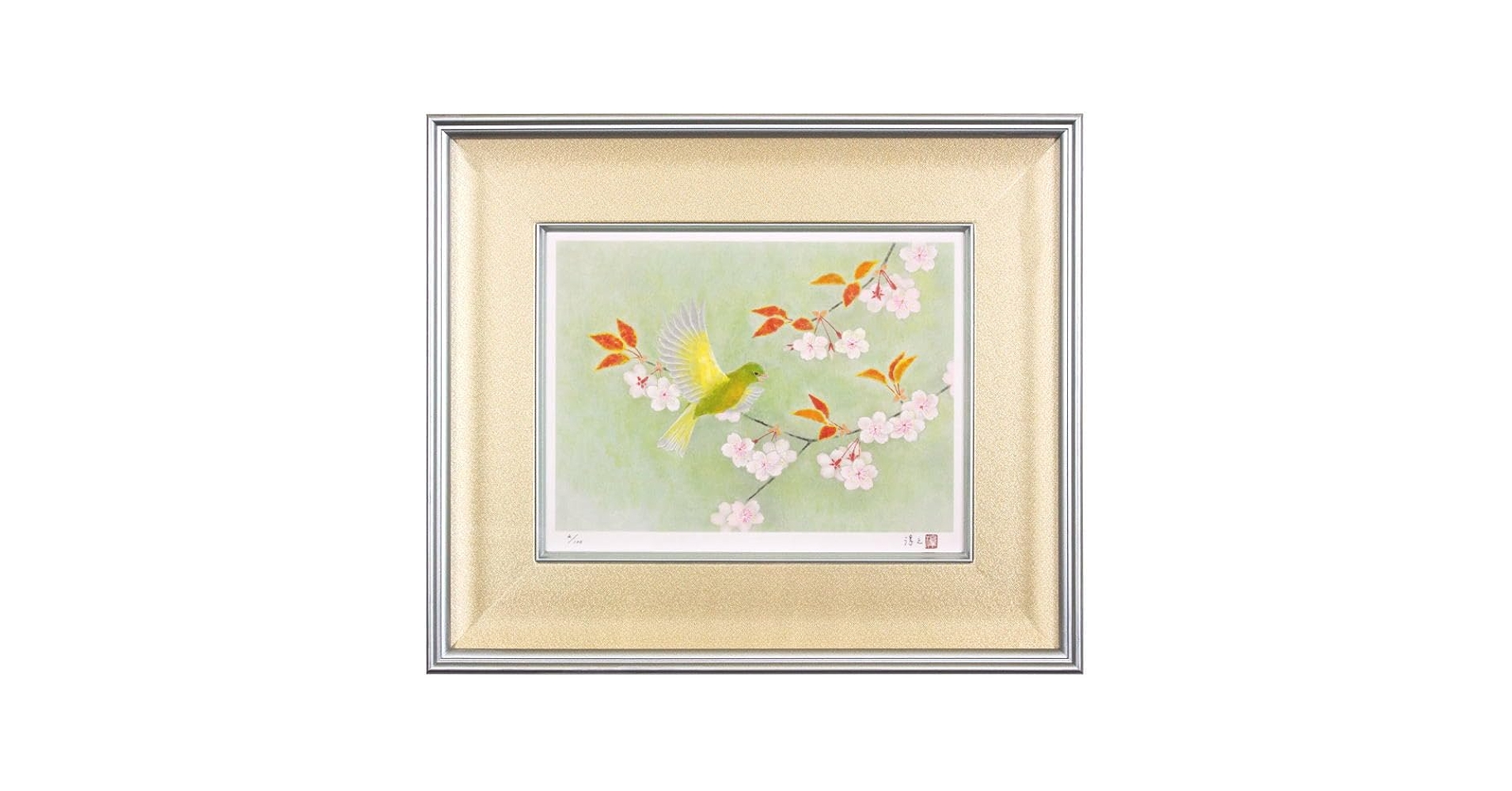 61gi4OyVVOL.jpg_BO30,255,255,