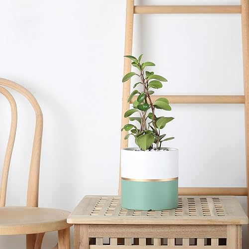 Miniatura 4 de Macetas de cerámica para interiores de 4.7 pulgadas, macetas mate con orificio de drenaje para decoración del hogar y la oficina (verde, blanco, con