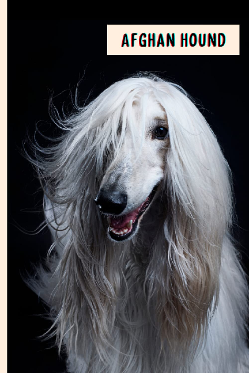 Afghan Hound: Perfect Afghan Hound Dog Journal for Memories And Notes , Afghan Hound Notebook ( 110 Pages, 6x9 )