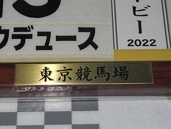 Amazon.co.jp: 第89回 日本ダービー ドウデュース額入り 優勝レイ付