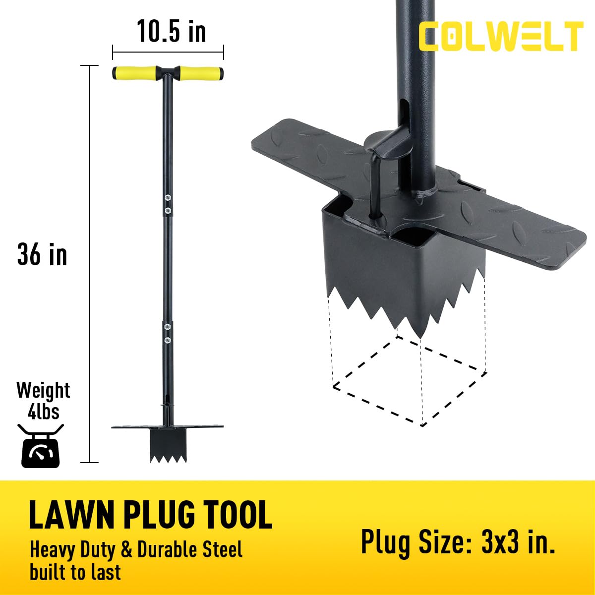 Colwelt Sadzarka do cebuli