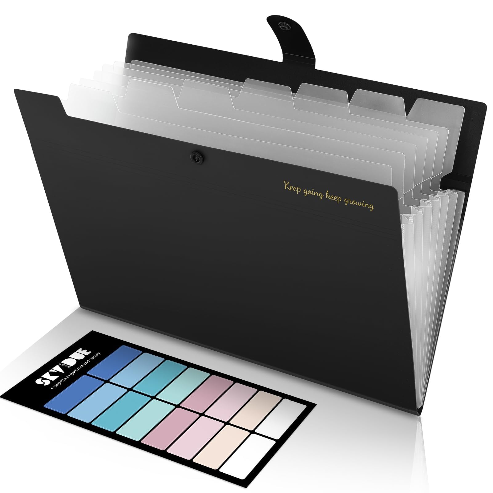Amazon.com : SKYDUE Accordion File Organizer, Expanding File
