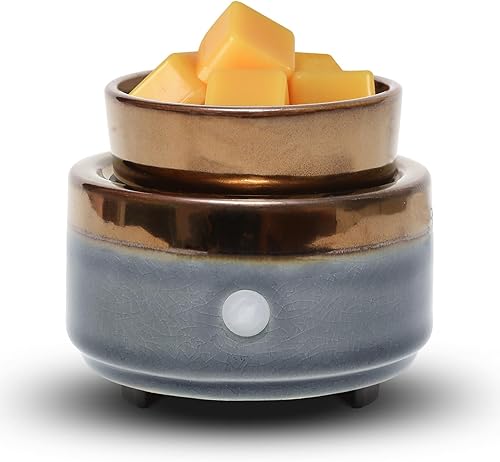 Calentador de cera de vela, difusor de fragancias para el hogar, calentador derretidor de cera aromático 2 en 1, derretidor eléctrico de cera de