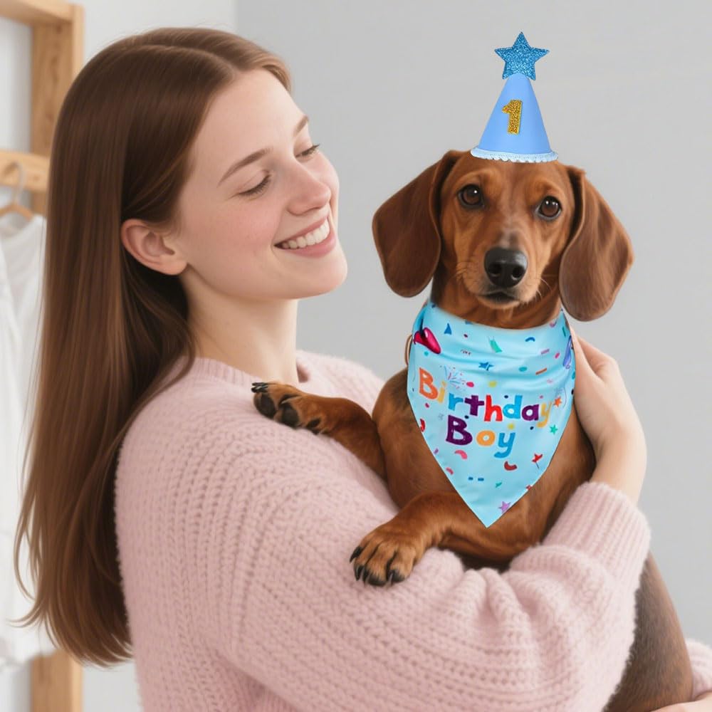 3 PCS Set Compleanno Cane,Bandana Cane Compleanno con Cappello, Numeri,HMCEY Cappellini da Festa per Animali Domestici,Accessori Decorazioni Compleanni Regalo per Cani Maschi, Femmine - Blu