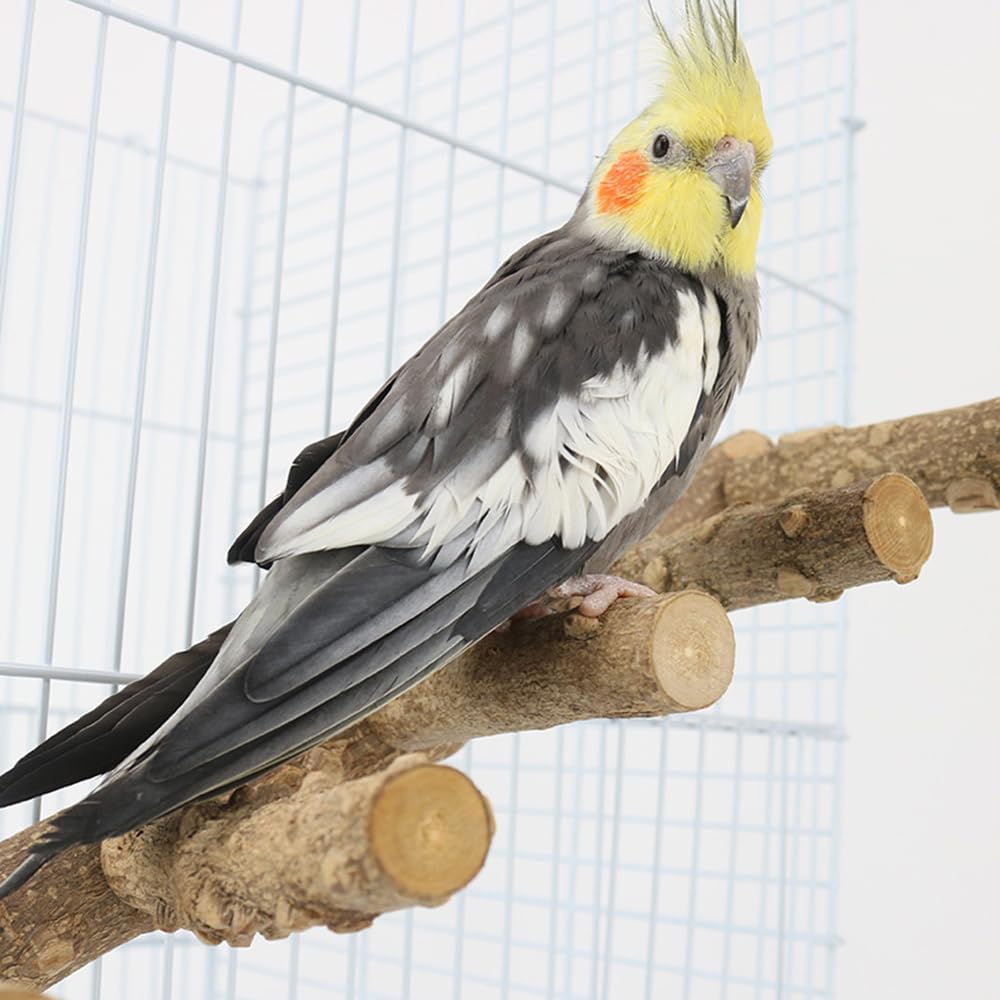Namvo 12.2 Inch Natural Wood Parrot Perch Stand, Bird Cage Ladder for Small and Medium Parrots Parakeets, Conures - Image 4