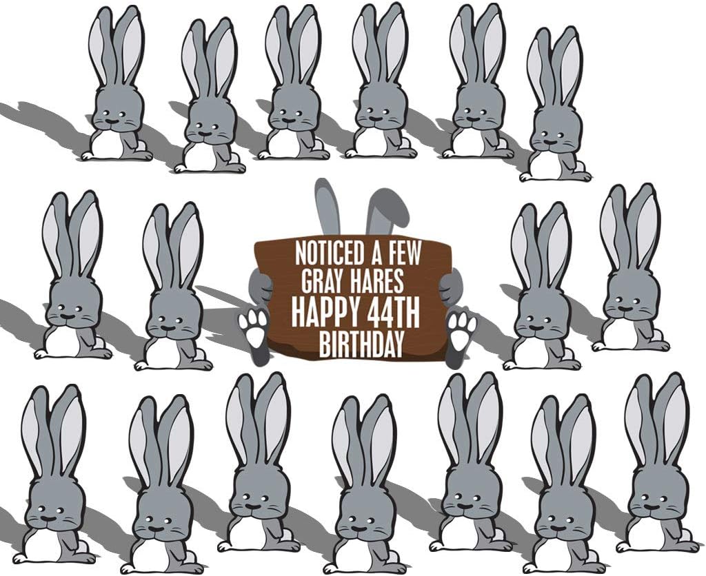 VictoryStore Yard Sign Outdoor Lawn Decorations: Custom Birthday Yard Decoration: Noticed A Few Gray Hares Happy Birthday