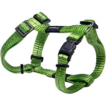 Reflective Adjustable H Harness for Small Dogs; matching collar and leash available, Green