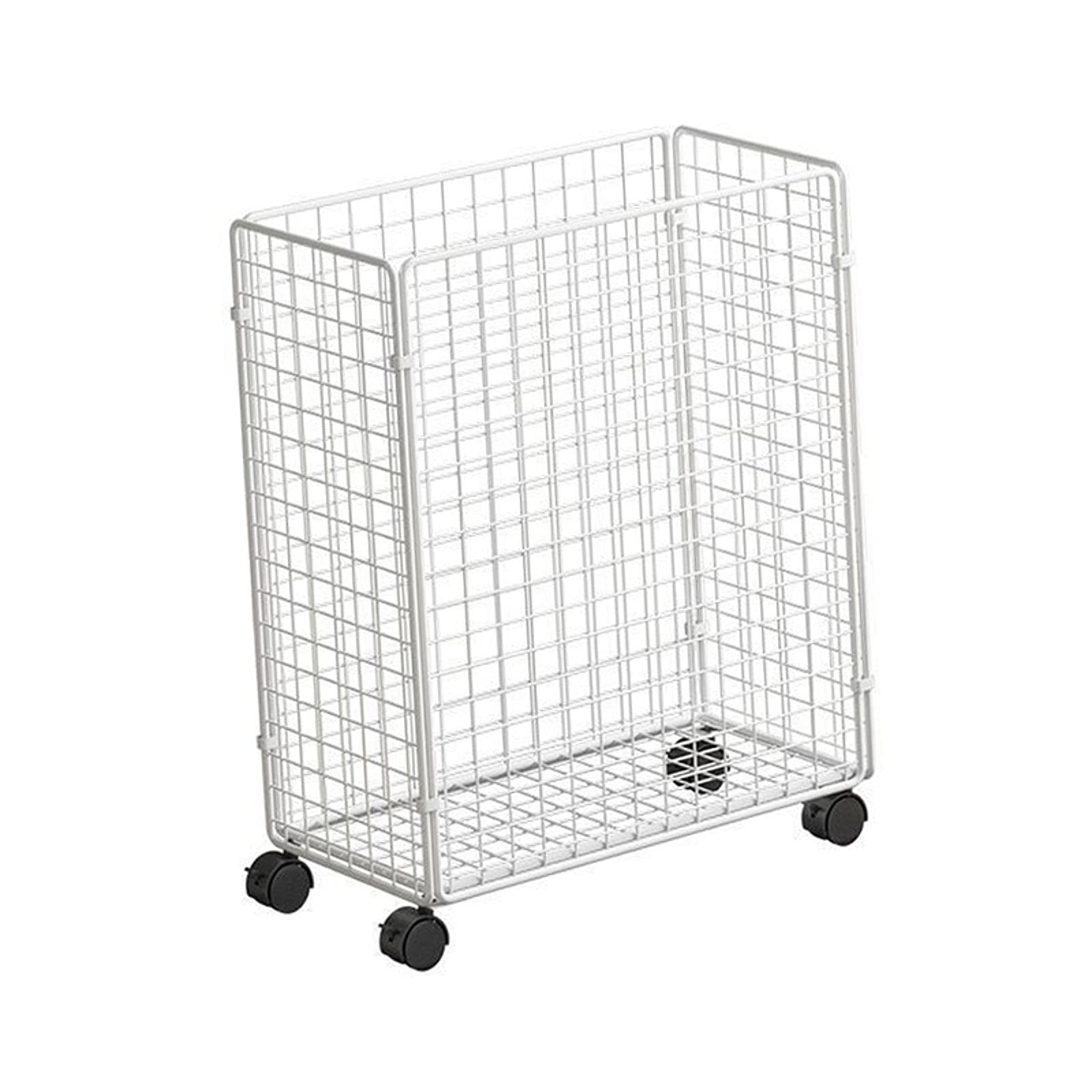 Cesta de Almacenamiento para Equipo de Gimnasio en casa, Cesta de Alambre de Metal, Carrito de Almacenamiento con Ruedas para tapetes de Yoga y