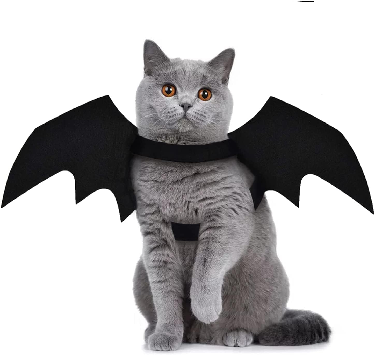 Pet Cat Bat Wings for Halloween Party Decoration, Puppy