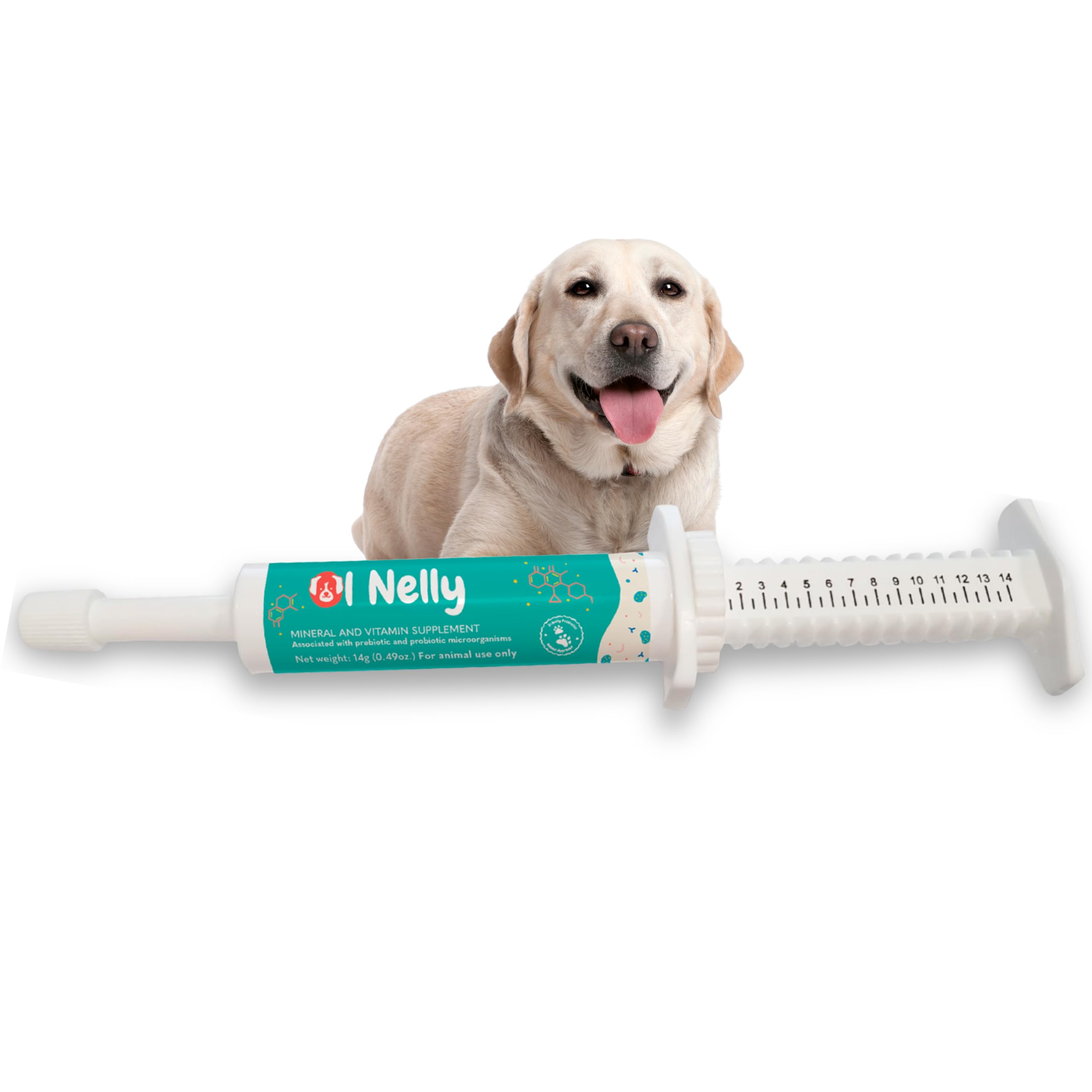 Ol Nelly Probiotic Paste for Dogs – Prebiotic & Probiotic Digestive and Immune Support, Helps Relieve Diarrhea and Loose Stool, 6 Probiotic Strains, 18 Billion CFUs with Vitamins and Minerals