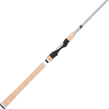 Fenwick World Class Spinning Fishing Rod