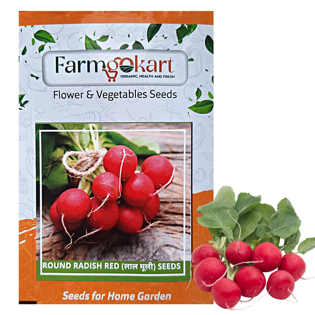 Farmgokart |Pack of 100 Nos | ROUND RED RADISH SEED | Best Suitable For Terrace And Home Gardening |Quality Exotic vegetable Seeds| (B09QK9HJN9) Amazon Price History, Amazon Price Tracker