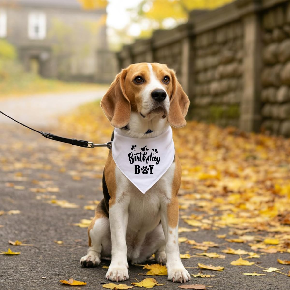 Bandana blanc pour chien d'anniversaire, bandana amusant et mignon pour chien, écharpe triangulaire pour animal de compagnie, accessoire pour amoureux des chiens, bandana pour chiens de petite,