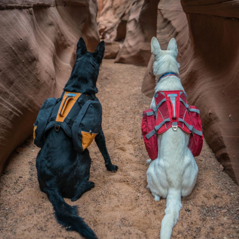 Kurgo Baxter Hunderucksack mit Geschirr - Abenteuer Rucksack - Ergonomische Rückenstütze - Ausbalanciertes Design - Langlebiger Wanderrucksack, Hundezubehör - Baxter (13-39 kg) - Schwarz/Orange