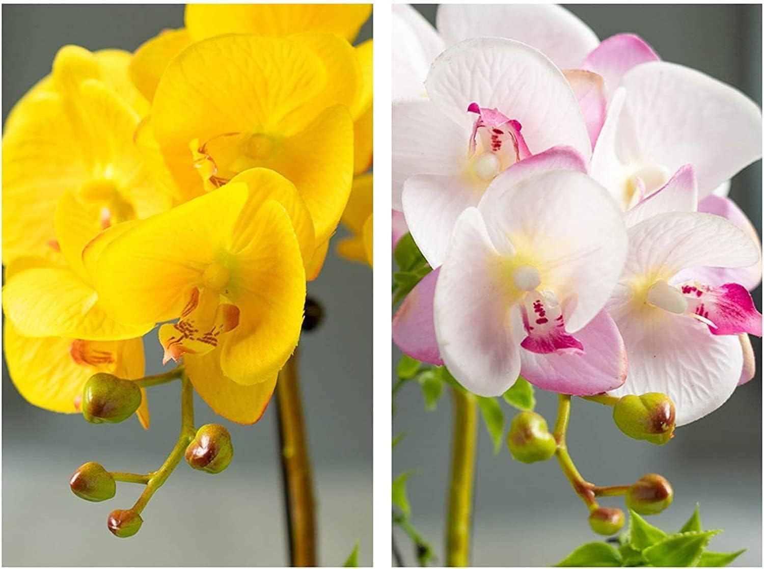 Orquídea Phalaenopsis Artificial de 48 cm en Elegante Maceta de Porcelana Dorada. Ideal para decoración del hogar, Bodas u Oficina. Aspecto Natural y fácil Mantenimiento.