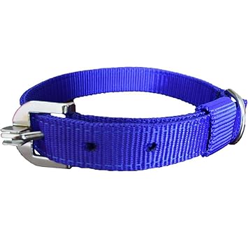 MUNCHOS Fine Quality 1.25 Inchi Collar for Large Dogs (Colour May Vary)
