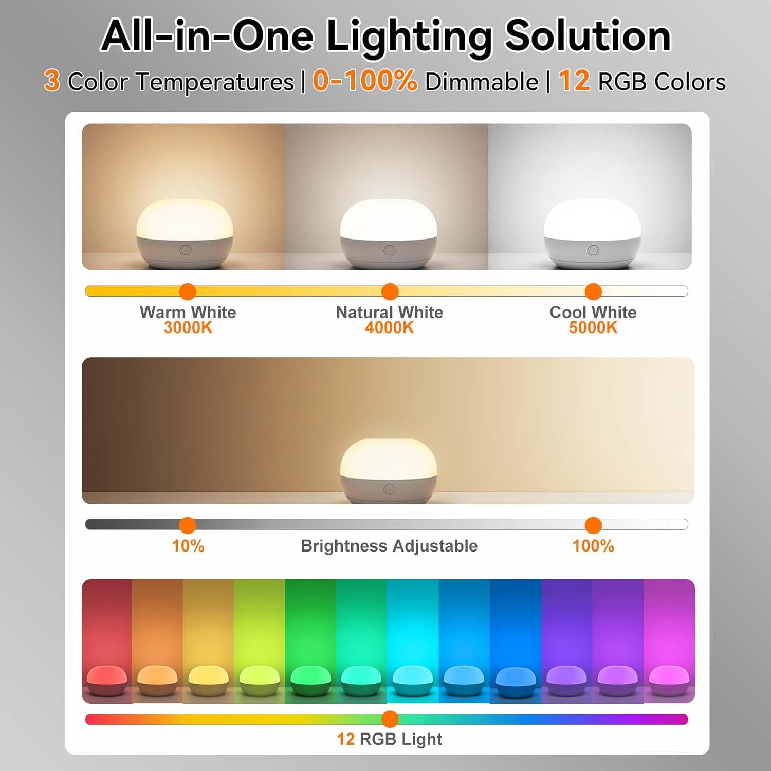 Illuminate Your Nights: SUNMORY