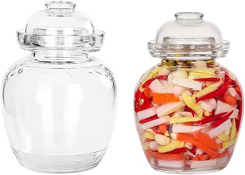 Aosnttol Tarro de fermentación en tarro de pepinillos, kit de fermentación con sello de agua, tarro de vidrio con tapa Paocai Jar Crock Pot para