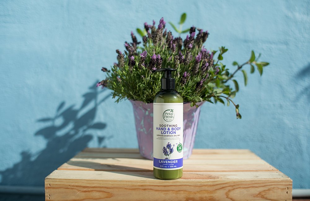 Petal Fresh Lavanta Özlü Yatıştırıcı El ve Vücut Losyonu, 355 ml