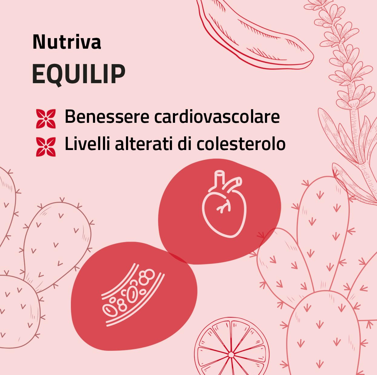 NUTRIVA Equilip Integratore Colesterolo 30 Compresse con Bergamotto Amaranto Carrubo Fico d’India e Policosanoli, Supporto Metabolismo Lipidico, Vegan