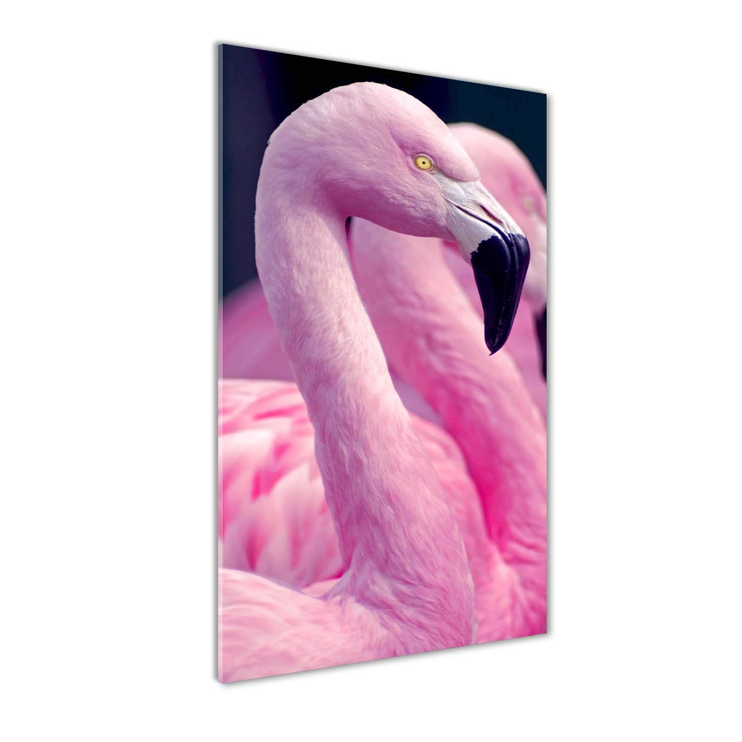 Tableau en verre 60x120 cm motif flamants roses haute finition