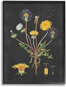 61gj-IvqbzL._AC_UF350,