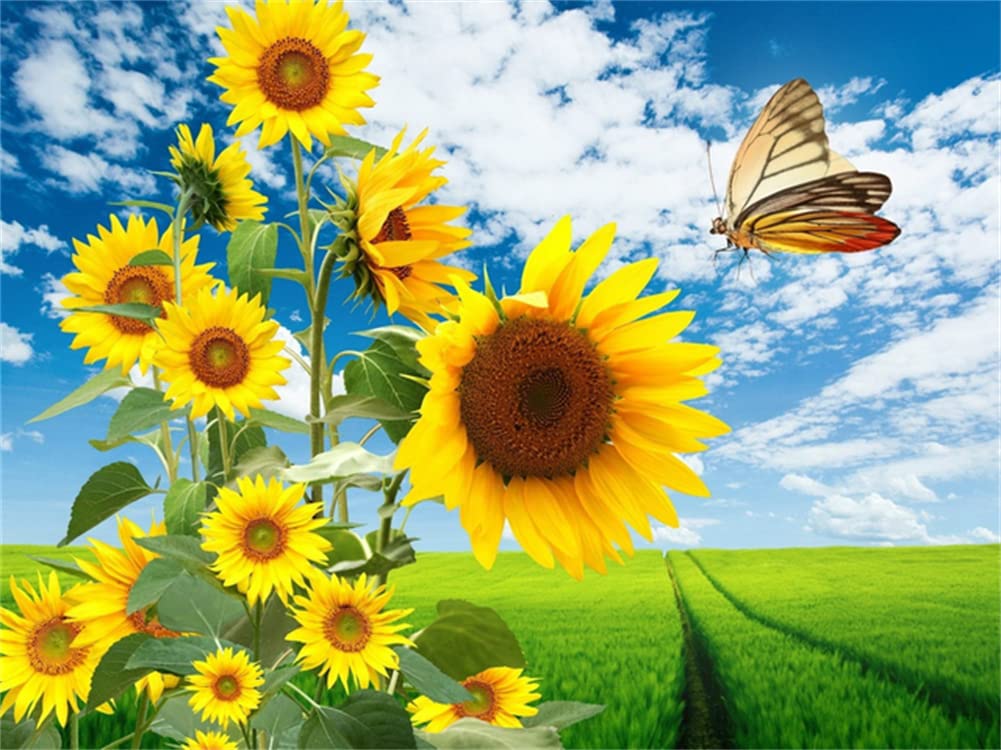 5D Diamond Painting Kit Completo Farfalla Girasole Kit Pittura