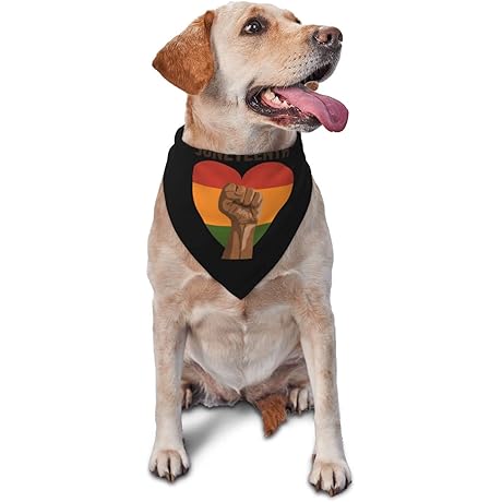 Juneteenth Celebrating Black Freedom 1865 African American Dog Bandana Scarf Bib