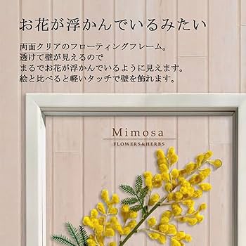 Amazon.co.jp: 壁掛け 日本製 手作り ボタニカルフレーム 3枚セット