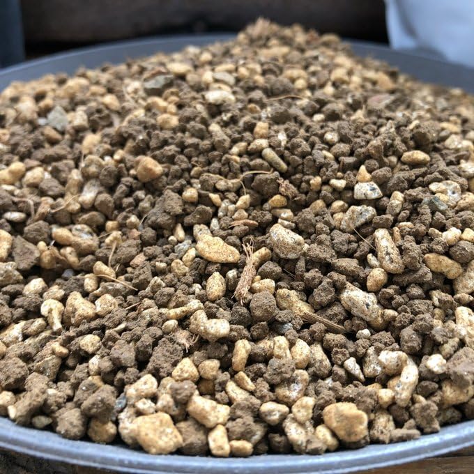 Amazon | best soil mix (3L)ベストソイルミックス banks collection