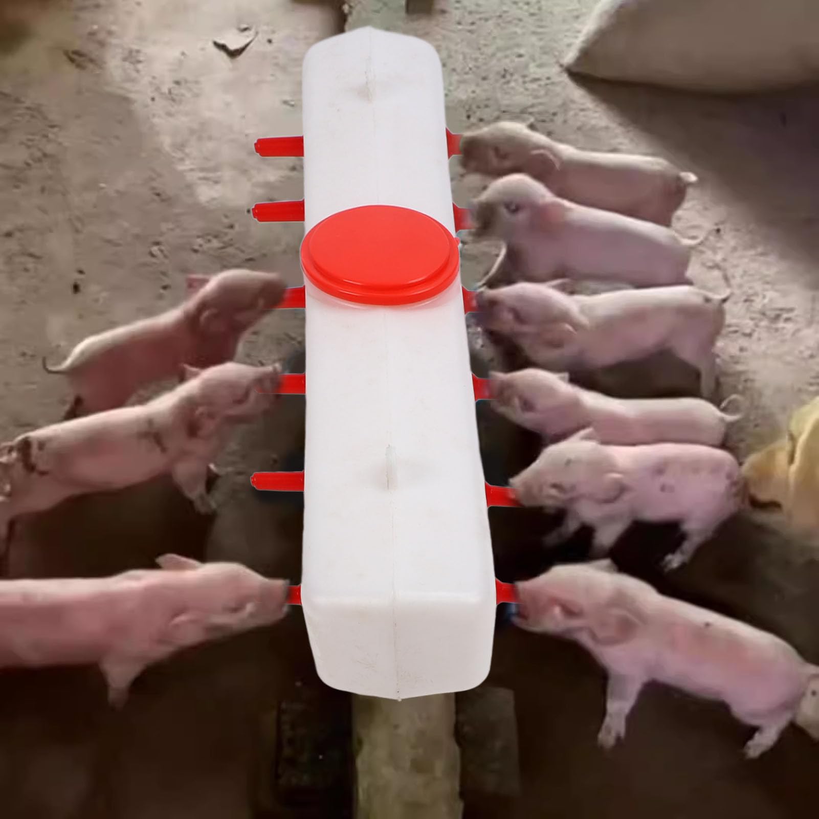 Qcwwy Alimentador de Leche para Cachorros de Lechón de Cordero, Cubo Rojo para Ganado, Capacidad de 9L, Alimentador de Pezones de Animales para Granja