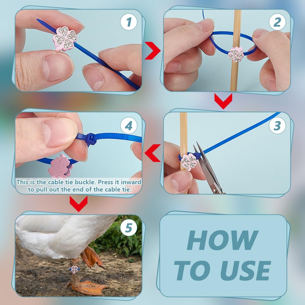 WADORN 60 paire Bandes pour Cuisses de Poulet, 6 style Breloques Colorées Poulet Volaille Bracelets D'Identification Réglables Étiquettes Pattes de Canard pour Canards Perroquets Oies Dindes Pigeons